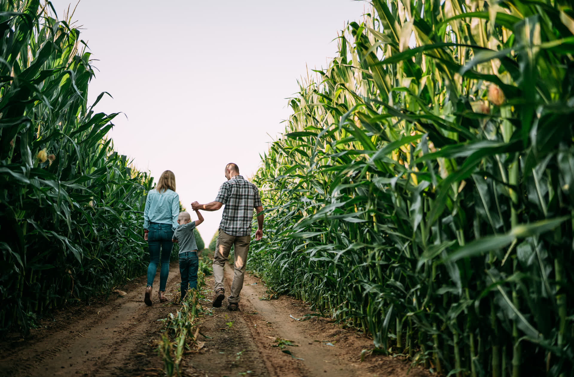 American farmer in the field